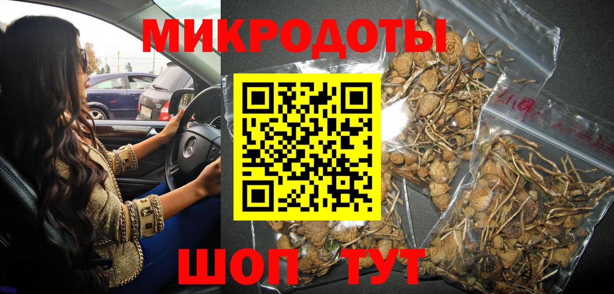 Галлюциногенные грибы GOLDEN TEACHER Владикавказ