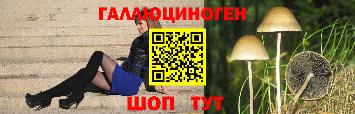 Псилоцибиновые грибы MAGIC MUSHROOMS  Вход с VPN  Владикавказ  Псилоцибиновые грибы Psilocybe 